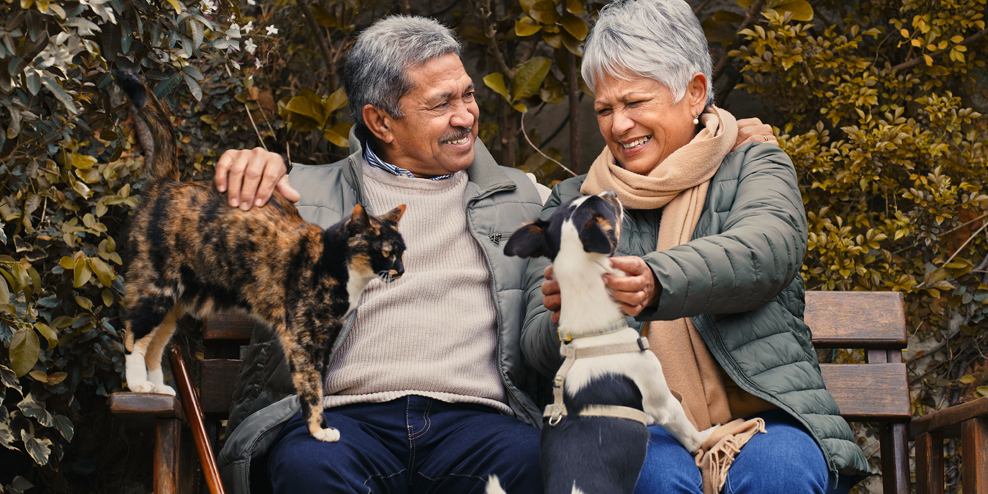 Best Pets for Seniors